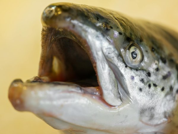 Séjours bien-être pour booster sa confiance en soi