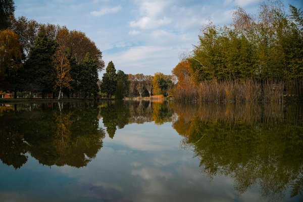 Découvrez les meilleures offres de votre pharmacie en ligne